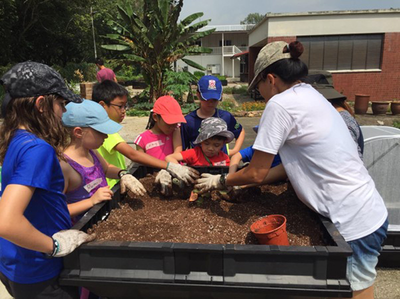 Urban Farming: How to Get Started