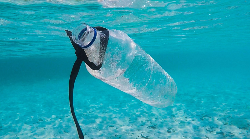 8 Ways Your Business Can Fight Plastic Pollution this World Environment Day